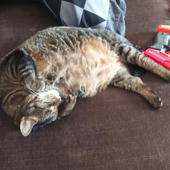 Meet your Posher, Lori - Picture 2 of 2